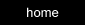 Home Button
